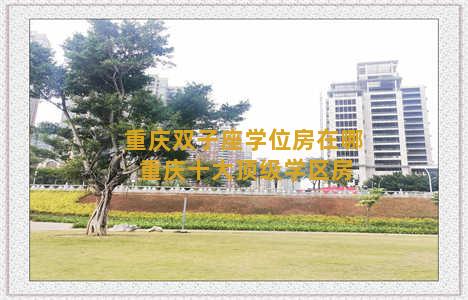 重庆双子座学位房在哪 重庆十大顶级学区房